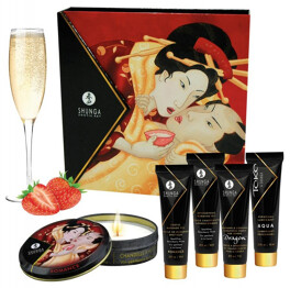 shunga-geisha-s-secret-set